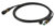 Neutrik MTP 12-ch X-treme Field cable