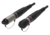 Neutrik Dragonfly cable